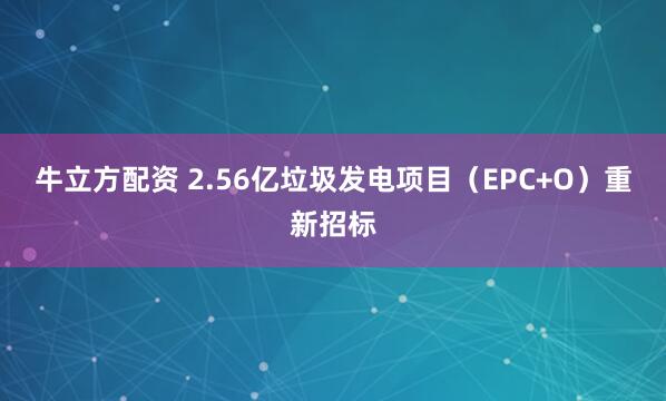 牛立方配资 2.56亿垃圾发电项目(EPC+O)重新招标